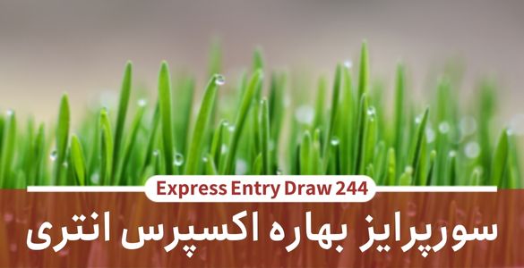 ircc 2023 10