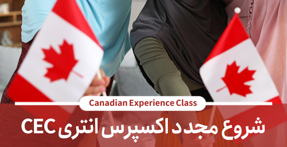 ircc 2024 10 ircc 2024 10