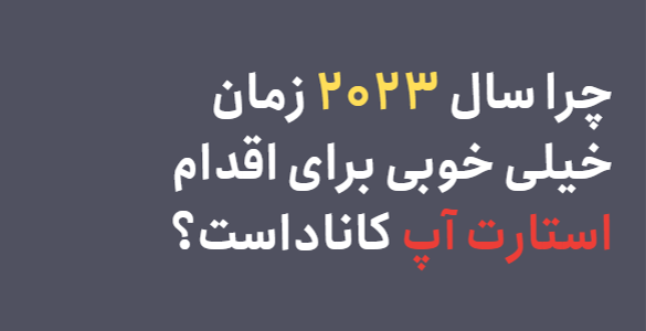 pol article 80